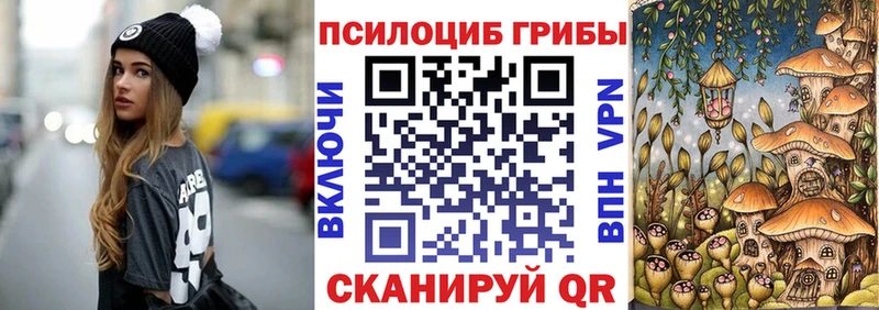 Псилоцибиновые грибы Cubensis  Купить закладки  Ладушкин 